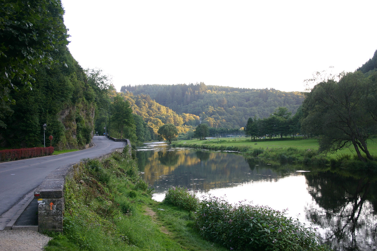 Bouillon
